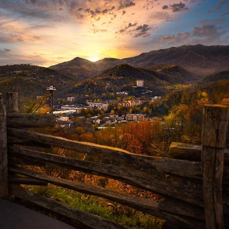 Bear Den, Hot Tub, 1089 Of Free Attraction Tickets For Each Paid Day, Dollywood And More! 세비어빌 외부 사진