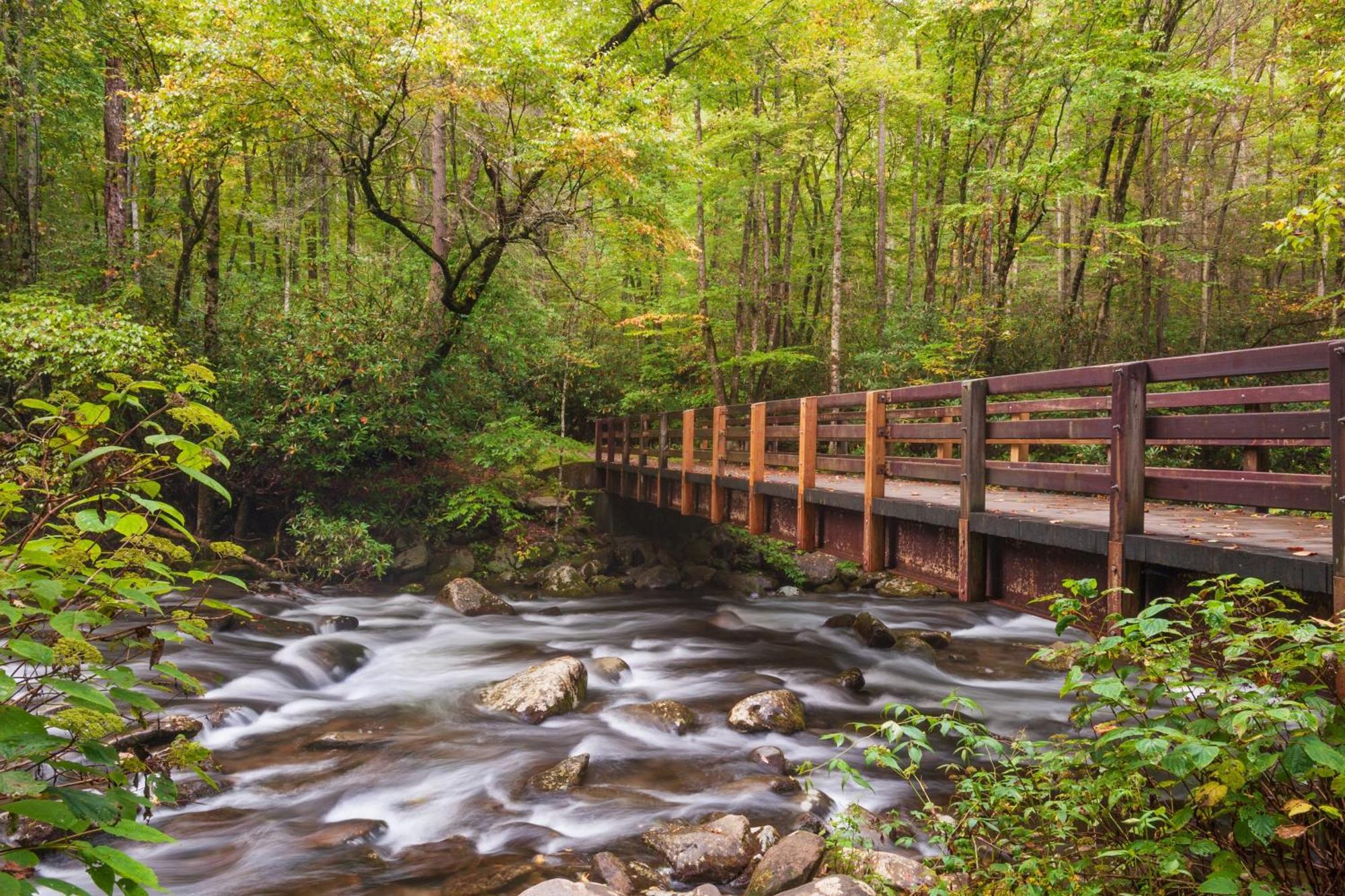 Bear Den, Hot Tub, 1089 Of Free Attraction Tickets For Each Paid Day, Dollywood And More! 세비어빌 외부 사진